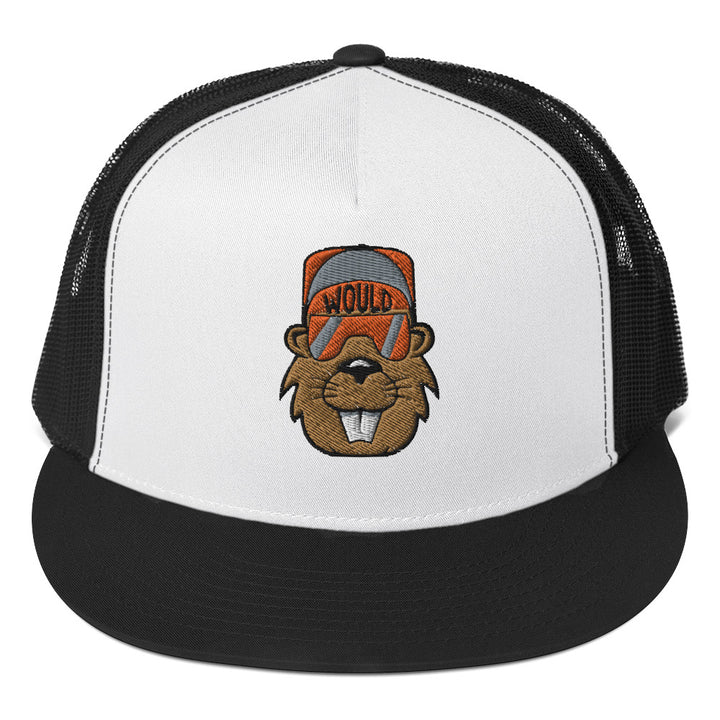 Would Embroidered Snapback