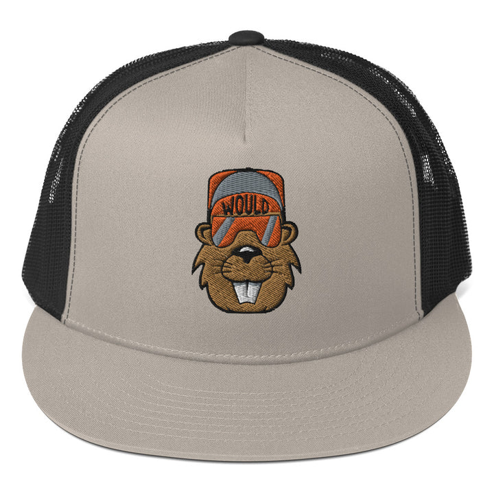 Would Embroidered Snapback