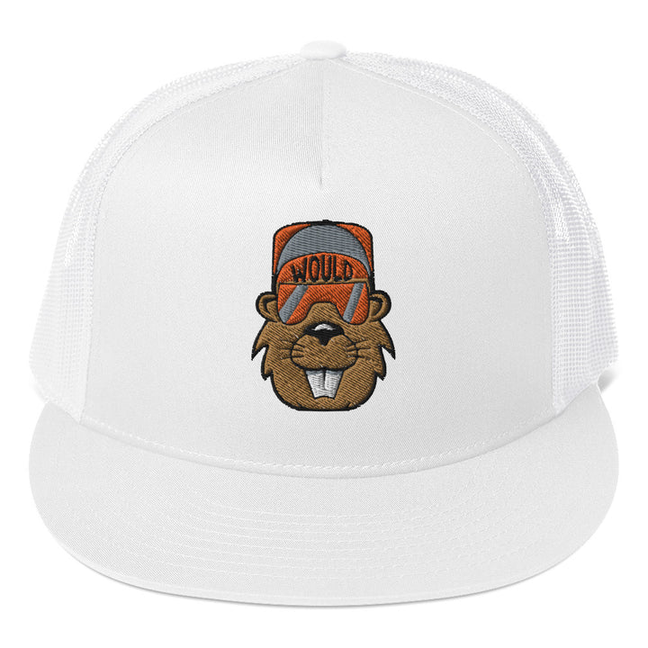 Would Embroidered Snapback
